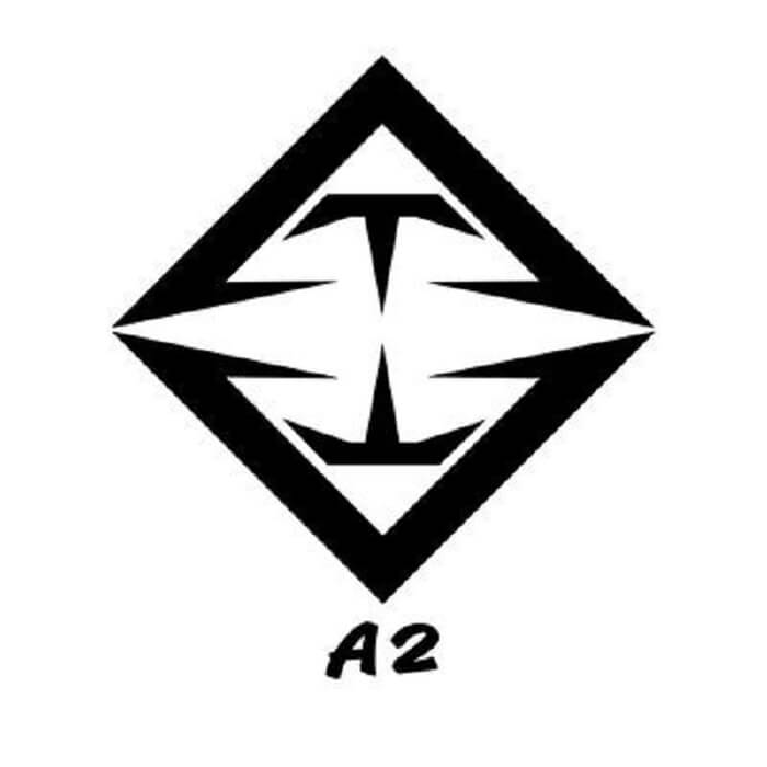 A2-1